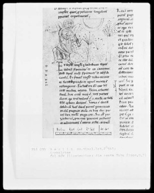 Beatus von Liébana, Kommentar zur Apokalypse — Die erste Posaune, Folio 60verso