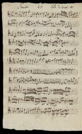 Viola da braccio 4