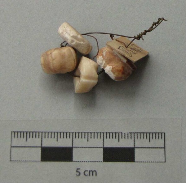 Shell beads