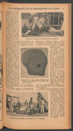 La radiografía de las madreperlas en Ceylán