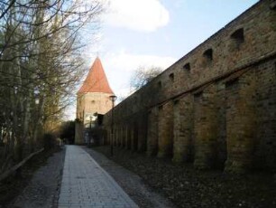 Rostock: Stadtmauer mit Lagebuschturm
