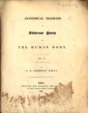 Anatomical Diagrams of Abstruse Parts of the Human Body, 1
