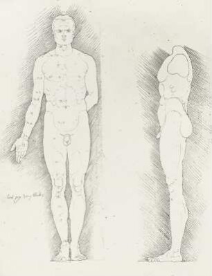 Mann von vorn und seitlich mit Proportionszahlen, vor schraffiertem Grund : Dresdner Skizzenbuch (1507/1528). Mann von vorn und seitlich mit Proportionszahlen, vor schraffiertem Grund (aus: R. Bruck: Das Skizzenbuch von Albrecht Dürer, Straßburg 1905, Tafel 28, Blatt 117 b, Str. 57, Kriegsverlust). Dresden: SLUB Mscr.Dresd.R.147.f