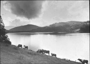 "Am Titisee"
