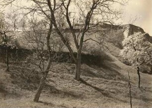 Nordsächsisches Tiefland. Ehemaliges Weinbergsgelände am Steinbruch in Niederlommatzsch