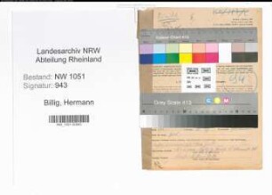 Entnazifizierung Hermann Billig , geb. 19.01.1886 (Kaufmann)