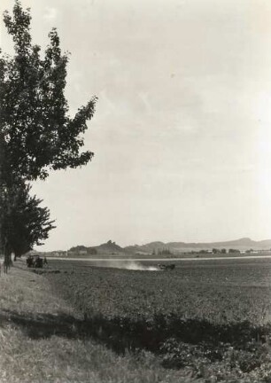 Harzvorland. Klippenlandschaft nördlich des Harzes (Quedlinburger Sattel). Blick von der Straße Quedlinburg - Westerhausen nach Nordnordwesten