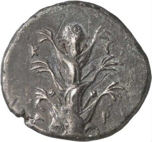 Kyrene