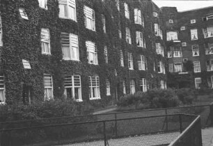 Begrüntes Wohnhaus : Nahaufnahme eines begrünten Wohnhauses in Amsterdam
