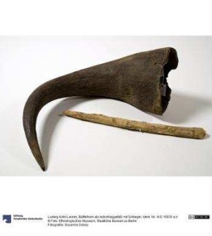 Büffelhorn als Aufschlaggefäß mit Schlegel