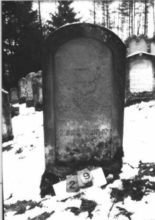 Grabstein 29 (Index: 99608713) Material: Sandstein Zustand: sehr stark verwittert mit sehr großem Textverlust Maße HxBxT: 108x57x11 cm Beschreibung: Stele mit Rundbogen auf Sockel, vertiefter Textteil: Grabstein 29
