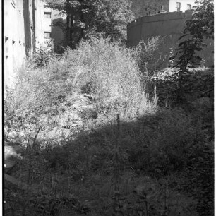Negativ: Gelände, Wartburgstraße 50, 1952