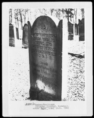 Grabstein William Appel (+ 1905)