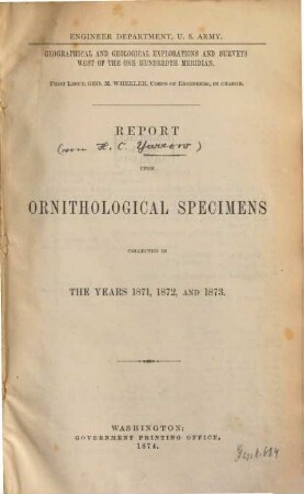 Report upon Ornithological Specimens collected in the years 1871, 1872 and 1873 : Engineer Department, U. S. Army. Geographical and Geological Explorations and Surveys west of the one hundredth Meridian
