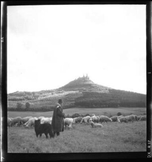 Schäfer unterhalb der Burg Hohenzollern