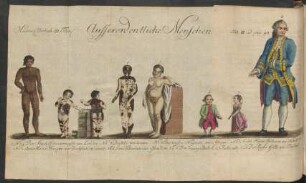 Tab. III ad pag 93 Ausserordentliche Menschen