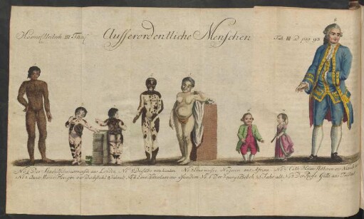 Tab. III ad pag 93 Ausserordentliche Menschen