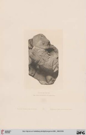Tafel: Hippokrates