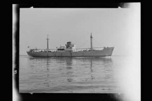 Morsum (1950), Nordfriesische Reederei