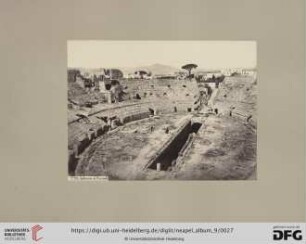 Nr. 1175. Anfiteatro di Pozzuoli