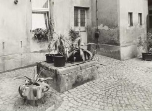 Radeburg. Wohnhaus, Meißner Straße 2, Brunnen im Hof : Brunnen. Stein. Radeburg (Kreis Meißen, Wohnhaus, Meißner Straße 2, Hof