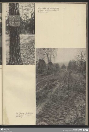 Von amerikanischen Panzern durchfahrene Waldwege