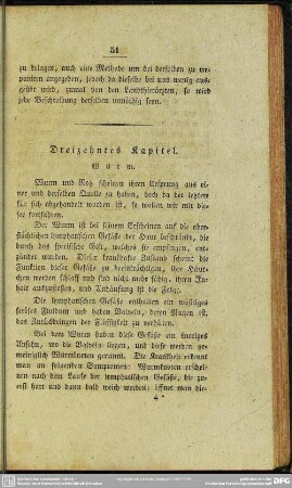 Dreizehntes Kapitel. Wurm
