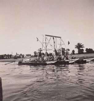 Steinhebe auf der Elbe