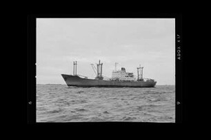 Albine Köbis (1965), Dt. Seereederei, Rostock