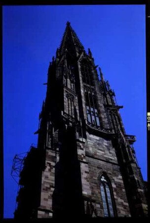 Freiburg: Münsterturm mit Gerüst, von Süden
