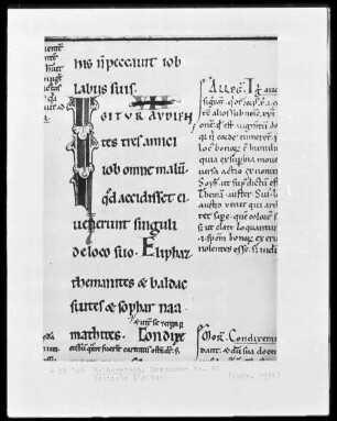 Das Buch Job mit Glosse, Ms. 40, Textseite mit Initiale I(gitur)