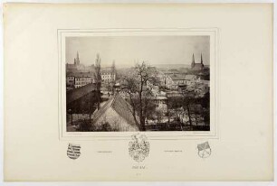 Stadtansicht von Zwickau in Sachsen von Südosten über die Zwickauer Mulde, daruter Stadtwappen und zwei kursächsische Wappen, Tafel 41 aus: Monumente des Mittelalters und der Renaissance ... von 1875
