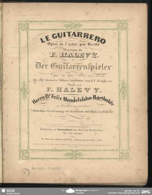 Der Guitarrenspieler