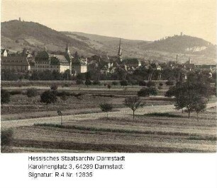 Bensheim an der Bergstraße, Panorama