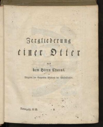 Zergliederung einer Otter
