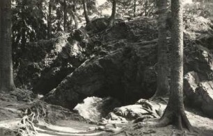 Thüringer Wald, Tabarz : Thüringer Wald. Torstein (Porphyr) bei Tabarz