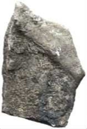 Umayyaden
