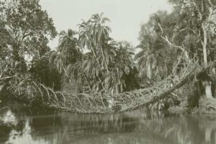 Abessinien, Lianen-Hängebrücke über den Godjeb (Grenzfluß zwischen Djimma und Kaffa)