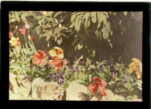 Blumenbeet im Garten