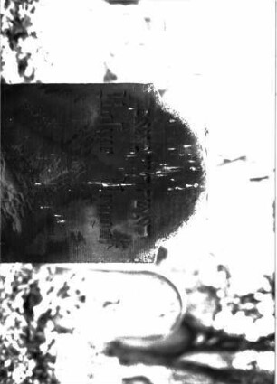 Grabstein A I/2/6A