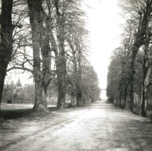 Störmthal-Güldengossa. Kastanienallee