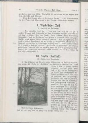 10 Sinter (Kalktuff)
