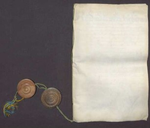 Ratifikation des Vertrags