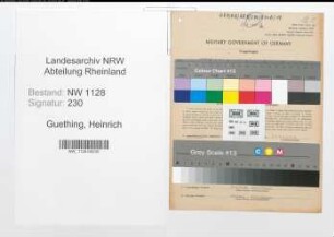 Entnazifizierung Heinrich Guething , geb. 02.01.1895 (Feuerwehrmann)