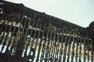 Fotografie: Sensortechnik, Zuckerrübe, Zuckerrübenköpfrodelader, Ertragsmessung, Ertragssensor, Wiegetechnik