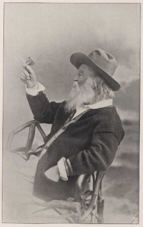 Porträt von Walt Whitman mit Schmetterling