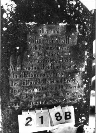 Grabstein 218 (Index: 99789759) Material: Sandstein und Marmor Zustand: gut, Schrift schwarz Maße HxBxT: 198x68x20 cm Symbolik: Konche, aufgeschlagenes Buch mit Inschrift: Psalmenbuch: Grabstein 218B