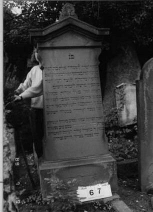 Grabstein 67 (Index: 100094944) Material: Sandstein Zustand: Sockel leicht abgeblättert Maße HxBxT: 187x76x41 cm Beschreibung: kon. Stele, profiliert. Sock, giebelart. Abschluß mit Verdachung und Mittelakroter Symbolik: Blätter im Akroter Besonderheit: langes Lobgedicht: Grabstein 67