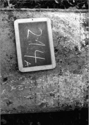 Grabstein 214 (Index: 100090555) Material: Sandstein Zustand: abgeblätt/verwitt/fast völl. Textverlust Maße HxBxT: 130x52x13 cm Beschreibung: Stele, eingezogener Segmentbogenabschluß: Grabstein 214A