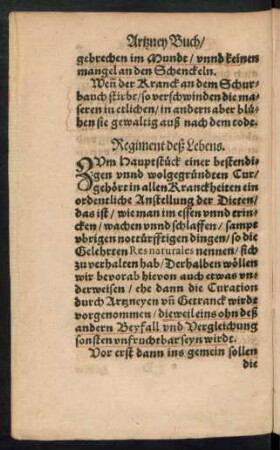 Regiment deß Lebens.